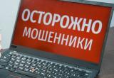 У ленивых школьников больше риска попасть на уловки мошенников У ленивых школьников больше риска попасть на уловки мошенников