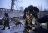 Фото: «Вологда-поиск» Фото: «Вологда-поиск»