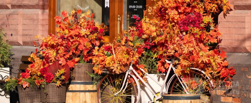 Вологда-Поиск