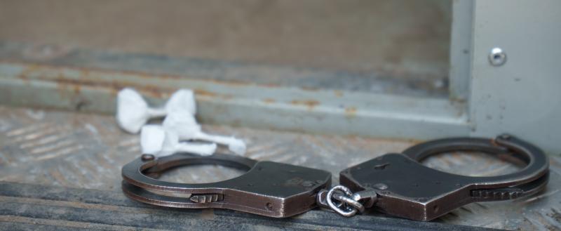 Фото: «Вологда-поиск»