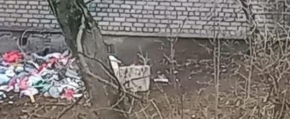 тг-канал Георгия Филимонова