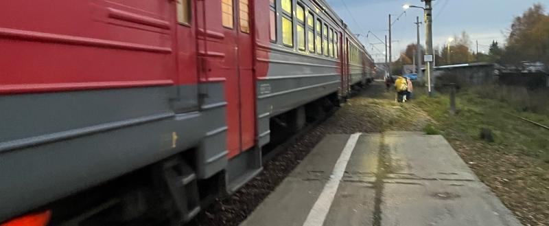 Фото: «Вологда-поиск»