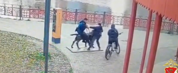 скриншот видео пресс-службы региональной полиции