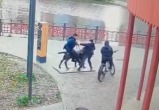 скриншот видео пресс-службы региональной полиции