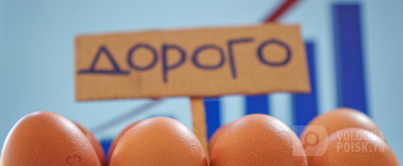 Фото: портал 