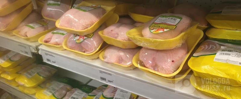 Вологда-Поиск