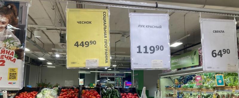 Фото: «Вологда-поиск»