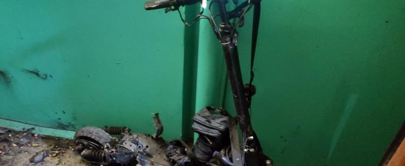 Фото: «Вологда-поиск»