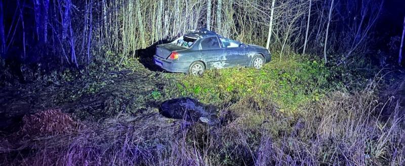 Телеграм-канал