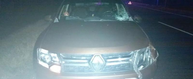 пресс-служба УМВД России по Вологодской области