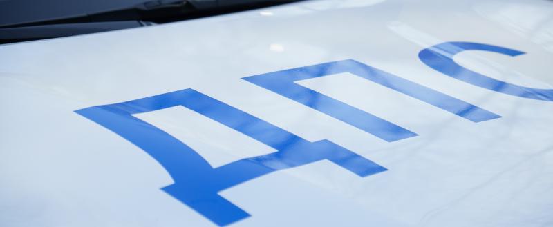 Фото: «Вологда-поиск»