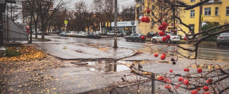 Вологда-поиск