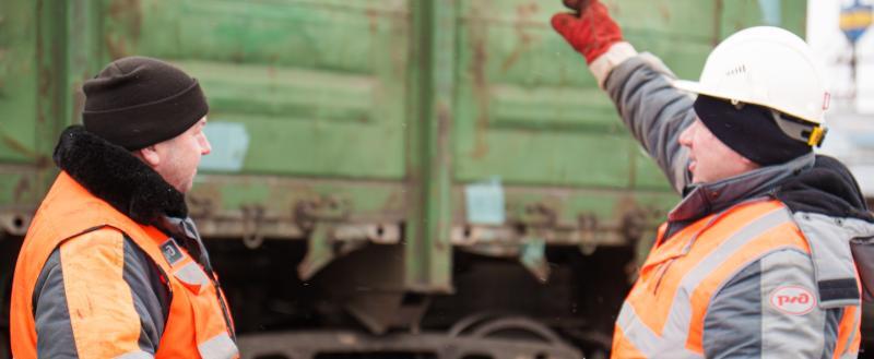 Фото Тимура Бойкова/Вологда-Поиск