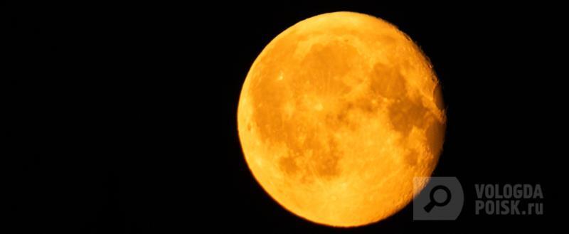 Вологда-Поиск