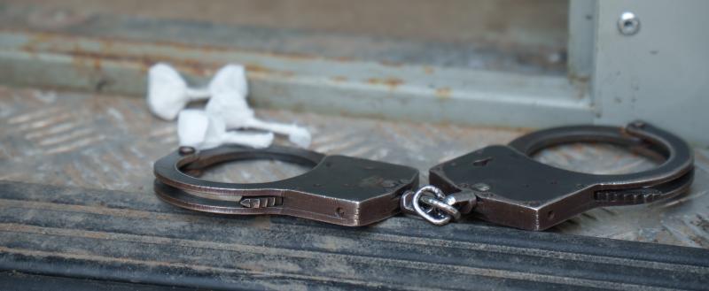 Фото: «Вологда-поиск»