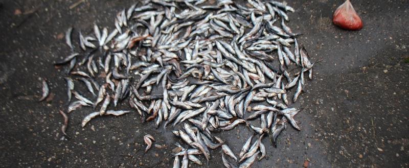 Вологодский линейный отдел МВД России