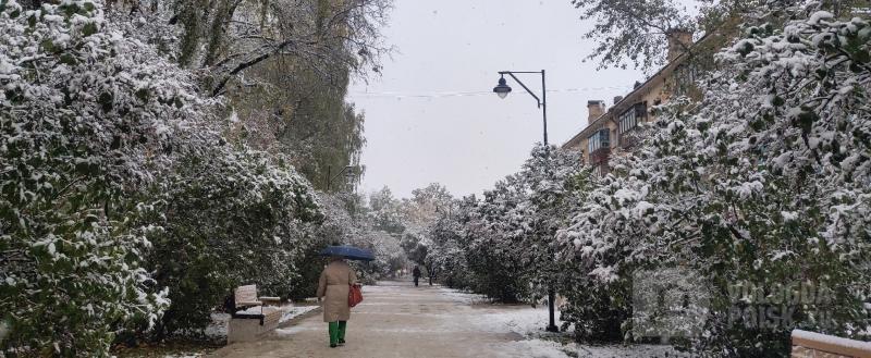 Елена Литвинова / Вологда-Поиск