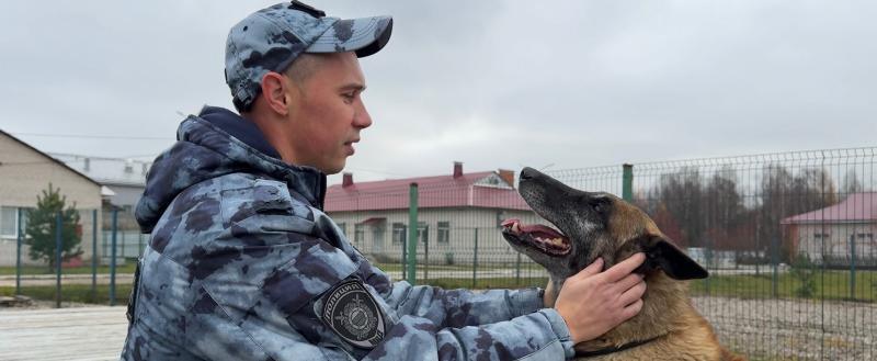 УМВД России по Вологодской области