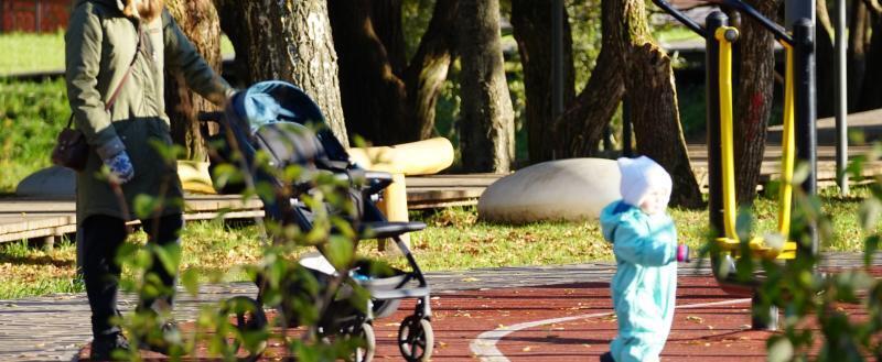 Фото Тимура Бойкова/Вологда-Поиск