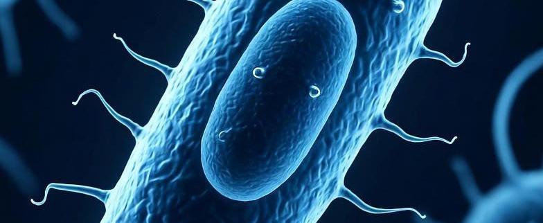 Изображение сгенерировано ИИ 