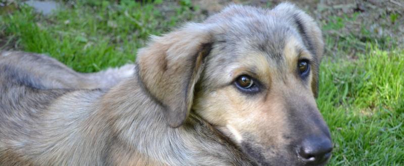 Фото: «Вологда-поиск»