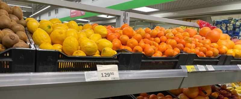 Фото: «Вологда-поиск»