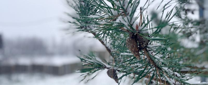 Фото: «Вологда-поиск»