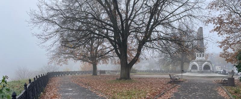 Фото Тимура Бойкова/Вологда-Поиск