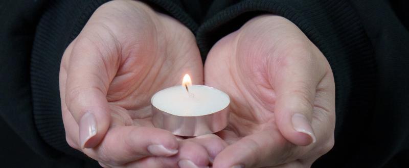 Фото: «Вологда-поиск»