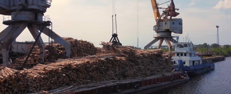 Скриншот видео сайт ВЛП