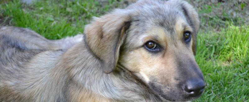 Фото: «Вологда-поиск»