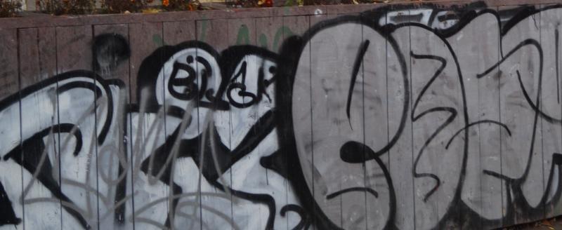 Фото: «Вологда-поиск»