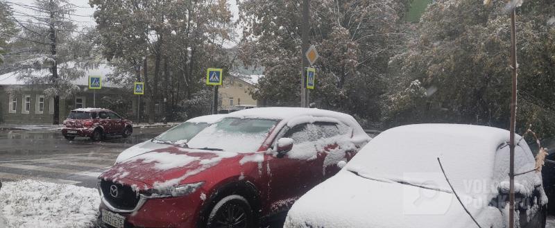 Елена Литвинова / Вологда-Поиск