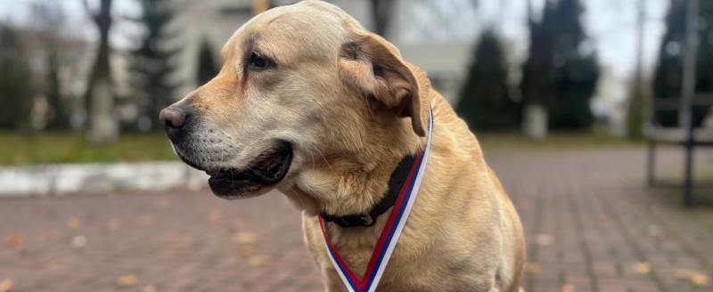 пресс-служба УМВД по Вологодской области