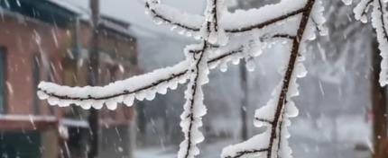 тг-канал Вологодский канвой