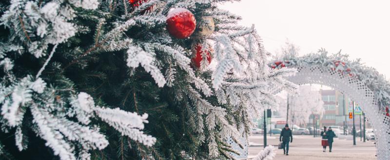 Фото Тимура Бойкова/Вологда-Поиск