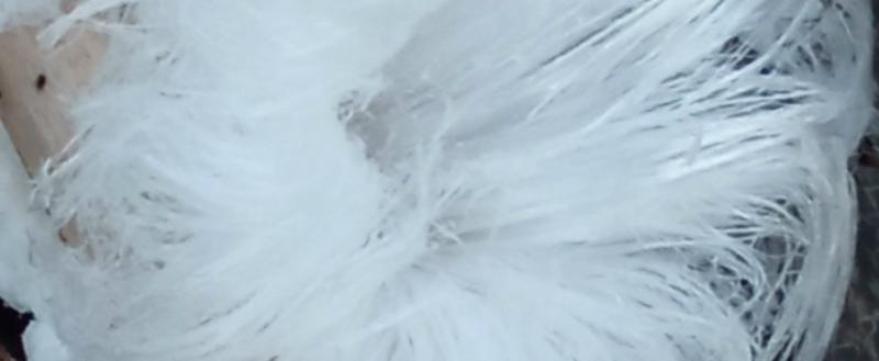 Фото Вера Смирнова