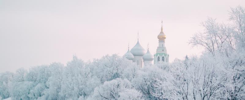 Фото: «Вологда-поиск»