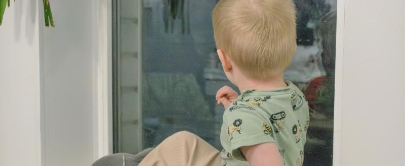 Фото: «Вологда-поиск»