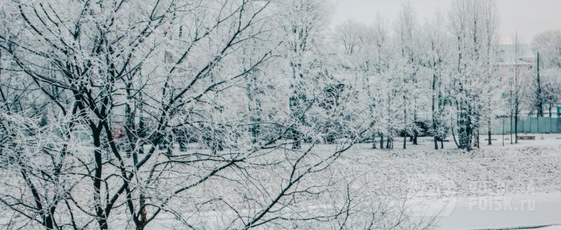 Вологда-поиск