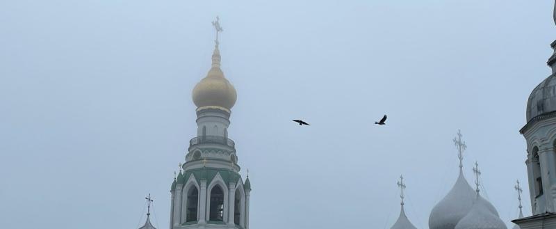 Тимур Бойков, Vologda-poisk.ru