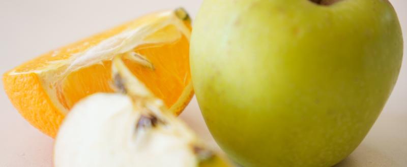 Фото: Тимур Бойков / Вологда-Поиск