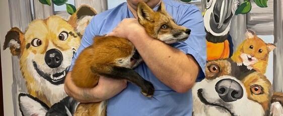 управление ветеринарии ВК