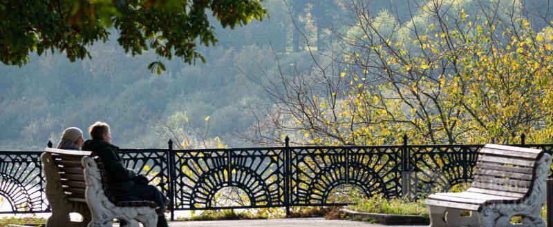 Вологда-поиск