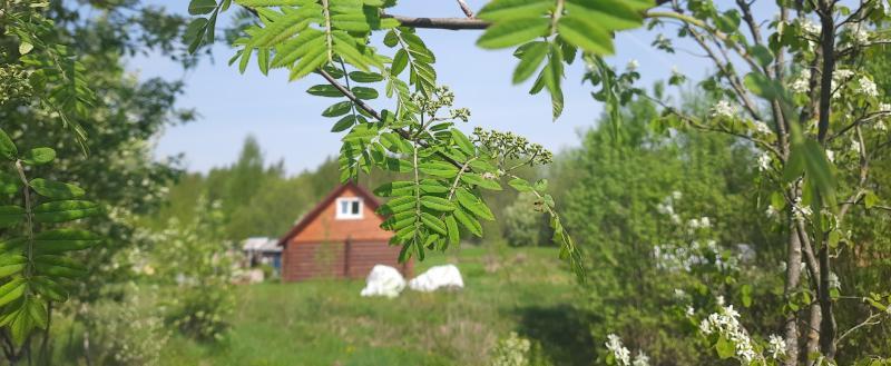 Фото Марины Ларинской