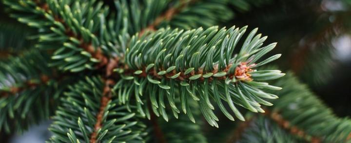 изображение сгенерировано ИИ 