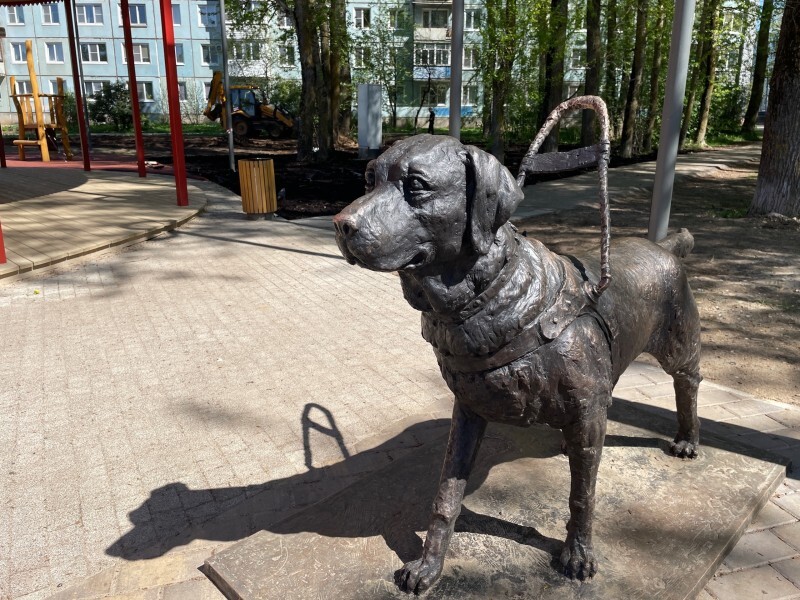 Фото: Тимур Бойков / Вологда-Поиск