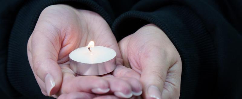 Фото Тимура Бойкова/Вологда-Поиск