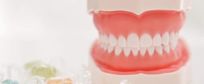 Фото: «Вологда-поиск»