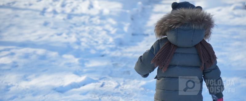 фото: Вологда-поиск